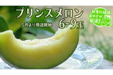 プリンスメロン 6～9個 【5月発送開始】 田舎の頑固おやじが厳選！  メロン ジューシー  ギフト 高糖度  大玉 美味しい 甘いフルーツ