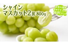 シャインマスカット 800g 2房 【9月より発送開始】田舎の頑固おやじが厳選！ マスカット 種なし  ギフト 高糖度 大粒 ぶどう 甘い 美味しい フルーツ