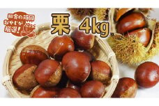 栗 4kg【9月より発送開始】田舎の頑固おやじが厳選！ 渋皮煮 栗ご飯 スイーツ