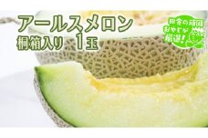 アールスメロン 1個 桐箱入り 田舎の頑固おやじが厳選！ メロン ギフト 高糖度 桐箱 甘い 美味しい フルーツ