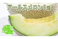 アールスメロン 1個 田舎の頑固おやじが厳選！ メロン ギフト 高糖度  甘い 美味しい フルーツ