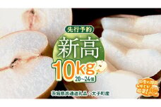 梨 新高 10kg（20～26個）【2025年10月より発送開始】（茨城県共通返礼品 [梨]：大子町産）田舎の頑固おやじが厳選！ なし 新高梨 和梨 フルーツ 果物 くだもの 高糖度 ギフト 茨城 