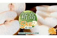 梨 新高 5kg（10〜14個）【2025年10月より発送開始】（茨城県共通返礼品 [梨]：大子町産）田舎の頑固おやじが厳選！ なし 新高梨 和梨 フルーツ 果物 くだもの 高糖度 ギフト 茨城