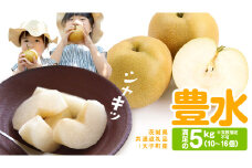梨 豊水 約5kg（10～16個）【2025年9月より発送開始】（茨城県共通返礼品 [梨]：大子町産）田舎の頑固おやじが厳選！ なし 豊水梨 果物 くだもの フルーツ 旬 高糖度 ギフト 美味しい 甘い デザート