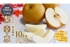 梨 幸水 10kg（20～24個 ）【2025年8月より発送開始】（茨城県共通返礼品 [梨]：大子町産）田舎の頑固おやじが厳選！