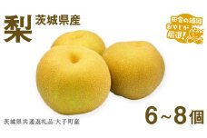 梨 6〜8個【2025年12月より発送開始】（茨城県共通返礼品 [梨]：大子町産）田舎の頑固おやじが厳選！ 梨 高糖度 ギフト 甘い スイーツ デザート フルーツ 美味しい