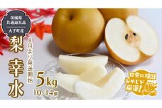 梨 幸水 5kg 10～14個【2025年8月より発送開始】（茨城県共通返礼品 [梨]：大子町産）田舎の頑固おやじが厳選！ 梨 幸水 高糖度 ギフト 甘い スイーツ デザート フルーツ 美味しい