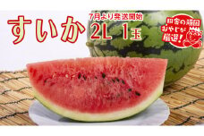 すいか 2L×1個【2025年7月より発送開始】田舎の頑固おやじが厳選！ すいか スイカ ギフト 大玉 甘い フルーツ 美味しい