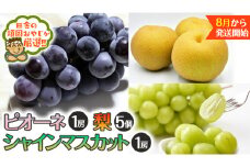 シャインマスカット1房 ピオーネ1房 梨 5個【8月より発送開始】田舎の頑固おやじが厳選！ マスカット 種なし ぶどう ブドウ 葡萄 ギフト 高糖度 大粒 甘い フルーツ 美味しい