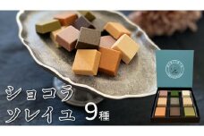 ショコラソレイユ 9種 チョコレート チョコ スイーツ デザート 高級 ギフト 贈り物 お礼 プレゼント 手土産 お菓子