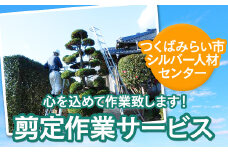 剪定作業サービス