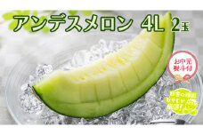 【 お中元 熨斗付】 アンデスメロン 4L×2個 【令和6年7月より発送開始】 田舎の頑固おやじが厳選！ メロン お中元 ギフト 高糖度 大玉 甘い 美味しい フルーツ