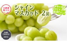 【お歳暮 熨斗付】 シャインマスカット 2房 【2025年12月より発送開始】 （茨城県共通返礼品 [ぶどう]：結城市産） 田舎の頑固おやじが厳選！ マスカット 種なし 大粒 高糖度 御歳暮 ギフト ぶどう 巨峰 フルーツ 甘い