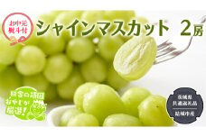 【お中元 熨斗付】 シャインマスカット 2房 【2025年7月から発送開始】 （茨城県共通返礼品 [ぶどう]：結城市産） 田舎の頑固おやじが厳選！ マスカット 種なし 高糖度 ギフト お中元 甘い 美味しい フルーツ ぶどう