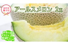 【 お中元 熨斗 付】 アールスメロン 2個 【令和6年7月より発送開始】 田舎の頑固おやじが厳選！  メロン お中元 ギフト 高糖度 甘い 美味しい フルーツ
