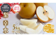（ お中元 熨斗付 ）梨 幸水 5kg 10~14個 【2025年7月より発送開始】 （茨城県共通返礼品 [梨]：大子町産） 田舎の頑固おやじが厳選！  高糖度 ギフト 御中元 フルーツ 美味しい なし ナシ