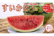【お中元 熨斗付】 すいか 2Ｌ 1個 【2025年7月から発送開始】 （茨城県共通返礼品：つくばみらい市産） 田舎の頑固おやじが厳選！ スイカ 御中元 ギフト 大玉 美味しい