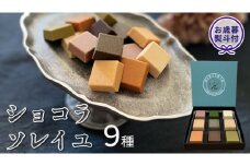 【 お歳暮 熨斗付 】 ショコラソレイユ 9種 チョコレート チョコ スイーツ デザート 高級 ギフト 贈り物 お礼 プレゼント 手土産 お菓子