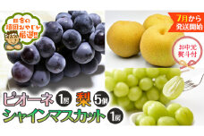 【お中元 熨斗付】 シャインマスカット １房 ピオーネ １房 梨 5個 【令和6年7月より発送開始】 田舎の頑固おやじが厳選！ シャインマスカット マスカット 種なし ぶどう ブドウ 葡萄 ピオーネ 梨 お中元 ギフト 高糖度 大粒