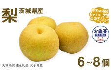 【お歳暮 熨斗付】 梨6〜8個 【2025年12月より発送開始】 （茨城県共通返礼品 [梨]：大子町産） 田舎の頑固おやじが厳選！ 梨 大玉 高糖度 ギフト 御歳暮 甘い 美味しい