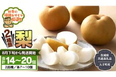 梨 2種 セット 【2025年8月下旬から発送開始】（茨城県共通返礼品 [梨]：大子町産） 田舎の頑固おやじが厳選！ なし 新高梨 和梨 フルーツ 果物 くだもの 高糖度 ギフト 茨城