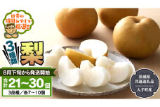 梨 3種 セット 【2025年8月下旬から発送開始】（茨城県共通返礼品 [梨]：大子町産） 田舎の頑固おやじが厳選！ なし 新高梨 和梨 フルーツ 果物 くだもの 高糖度 ギフト 茨城