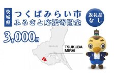 【 返礼品なし 】 茨城県 つくばみらい市 ふるさと応援寄附金 （ 3,000円 )