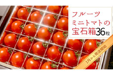 フルーツミニトマト の 宝石箱 36粒 【2025年1月から発送開始】 野菜 トマト フルーツ ミニトマト フルーツ