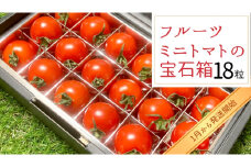 フルーツミニトマト の 宝石箱 18粒 【2025年1月から発送開始】 野菜 トマト フルーツ ミニトマト フルーツ