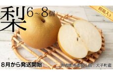 【 桐箱入り 】 梨 6〜8個 【2025年8月より発送開始】（茨城県共通返礼品 [梨]：大子町産）田舎の頑固おやじが厳選！ フルーツ 果物 季節 秋 なし ナシ ギフト 桐箱 プレゼント 贈答 