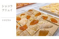 ショコラフリュイ トロピカル チョコレート チョコ スイーツ デザート 高級 ギフト 贈り物 お礼 プレゼント 手土産 お菓子