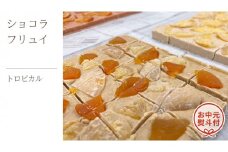 【お中元熨斗付】ショコラフリュイ トロピカル チョコレート チョコ スイーツ デザート 高級 ギフト 贈り物 お礼 プレゼント 手土産 お菓子