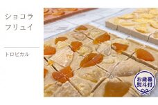 【お歳暮熨斗付】ショコラフリュイ トロピカル チョコレート チョコ スイーツ デザート 高級 ギフト 贈り物 お礼 プレゼント 手土産 お菓子