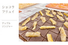 ショコラフリュイ アップルジンジャー チョコレート チョコ スイーツ デザート 高級 ギフト 贈り物 お礼 プレゼント 手土産 お菓子