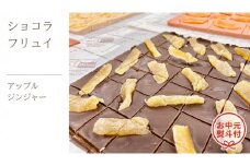 【お中元熨斗付】ショコラフリュイ アップルジンジャー チョコレート チョコ スイーツ デザート 高級 ギフト 贈り物 お礼 プレゼント 手土産 お菓子