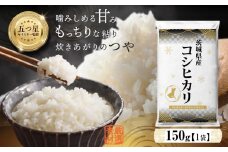 【 お試しサイズ   1000円ポッキリ / 最短翌日出荷！】令和６年産 茨城県産 コシヒカリ 150g (150g×1袋) お試し ♪ 1合 五つ星お米マイスター監修 寄附額 1000円 ポッキリ 米 精米 茨城 お米 おこめ ごはん 白米 米 茨城産 こしひかり