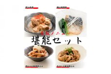 「日本料理ねぎしや」 看板メニュー堪能セット （ 鯖の味噌煮・豚の角煮・豚もつの味噌煮込み・牛すじの醤油煮込み ） もつ もつ煮 牛 牛すじ さば 鯖 味噌煮 さばの味噌煮 お得 こだわり おかず 贈り物 簡単調理 おつまみ 冷凍 柔らか 魚 惣菜 お惣菜 日本料理 豚 角煮 豚の角煮 肉 セット レンチン レンジ
