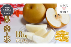 【 お中元 熨斗付 】幸水10kg （20～24個） 【2025年8月より発送開始】 （茨城県共通返礼品 [梨]：大子町産） 梨 幸水 フルーツ 果物 旬