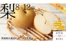 【 お中元 熨斗付 】【 化粧箱入り 】 梨 8～12個 【2025年8月より発送開始】 （茨城県共通返礼品 [梨]：大子町産） 梨 幸水 フルーツ 果物 旬