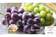 【 お中元 熨斗 付 】【 桐箱入り 】 シャインマスカットと巨峰（各種1房ずつ） 【2025年8月より発送開始】 （茨城県共通返礼品 [ぶどう]：結城市産）  シャインマスカット 巨峰 ぶどう 果物 フルーツ 季節 旬