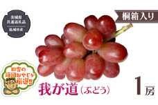 【 桐箱入り 】我が道 （ ぶどう ） 1房 【2025年9月から発送開始】（茨城県共通返礼品 [ぶどう]：結城市産） ぶどう 我が道 果物 フルーツ 季節 旬