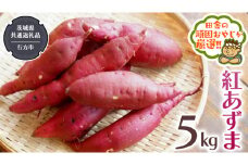 紅あずま 5kg 【2024年10月から発送開始】（茨城県共通返礼品 [さつまいも]：行方市産） さつまいも 紅あずま 芋 いも 野菜