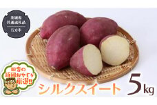 シルクスイート 5kg 【2025年10月から発送開始】（茨城県共通返礼品 [さつまいも]：行方市産） さつまいも シルクスイート 芋 いも 野菜