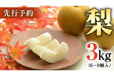 農園が選ぶ！おまかせ 梨 3kg 【7月下旬発送開始】 ナシ なし 果物 フルーツ デザート 秋  茨城県 はつまる 夏しずく 幸水 豊水 あきづき 恵水 甘太 にっこり