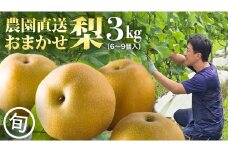 農園直送！おまかせ 梨 3kg 【7月下旬発送開始】 ナシ なし 果物 フルーツ デザート 秋  茨城県 はつまる 夏しずく 幸水 豊水 あきづき 恵水 甘太 にっこり
