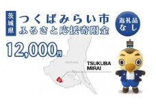 【 返礼品なし 】 茨城県 つくばみらい市 ふるさと応援寄附金 （ 12,000円 )