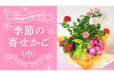 季節の寄せかご（中） 花 お花 フラワー 誕生日 プレゼント ギフト 贈り物 父の日 母の日