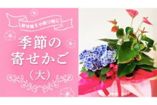 季節の寄せかご（大） 花 お花 フラワー 誕生日 プレゼント ギフト 贈り物 父の日 母の日