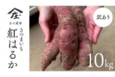 【 訳あり 】 さつまいも ！ 紅はるか 10kg サツマイモ 芋 いも べにはるか 茨城 美味しい おいしい ワケアリ 訳アリ