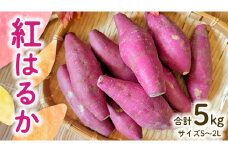 【 先行予約 】茨城県産 紅はるか 5kg サイズS～2L さつまいも サツマイモ 紅はるか